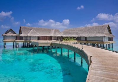 攜程上線近700條出境團(tuán)隊游產(chǎn)品，熱點目的地分析與行業(yè)展望